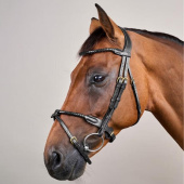 Bridon Combiné Braided Dyon Collection Noir Bridon Combiné Braided Dyon Collection Noir