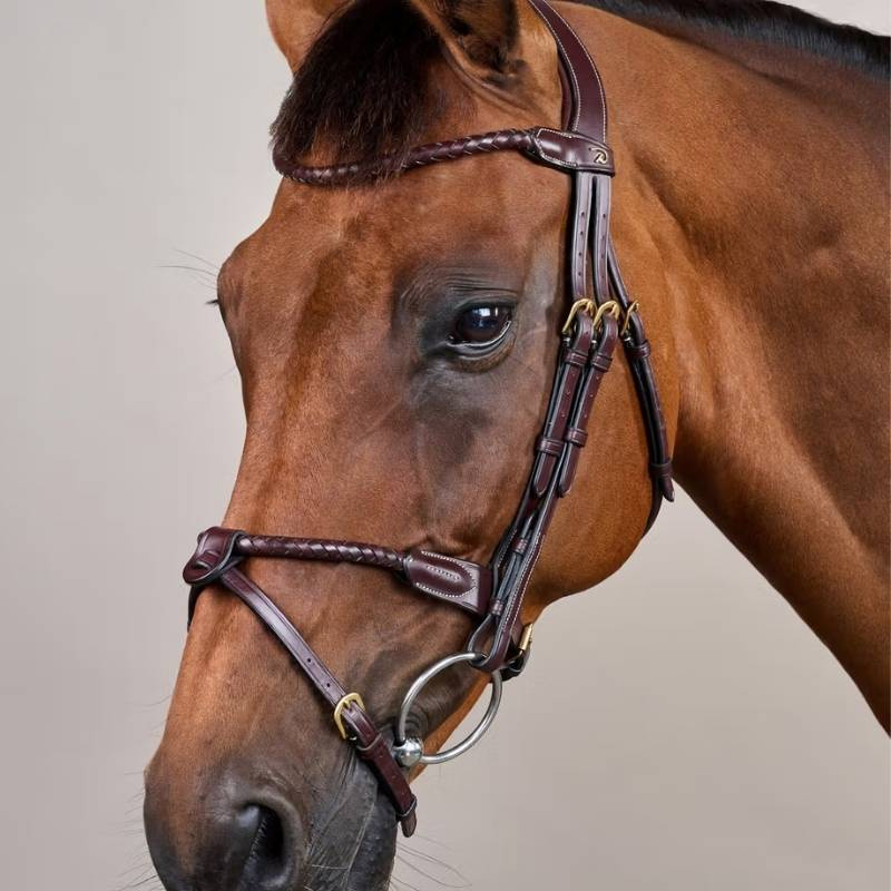 Bridon Combiné  Braided Dyon Collection Marron