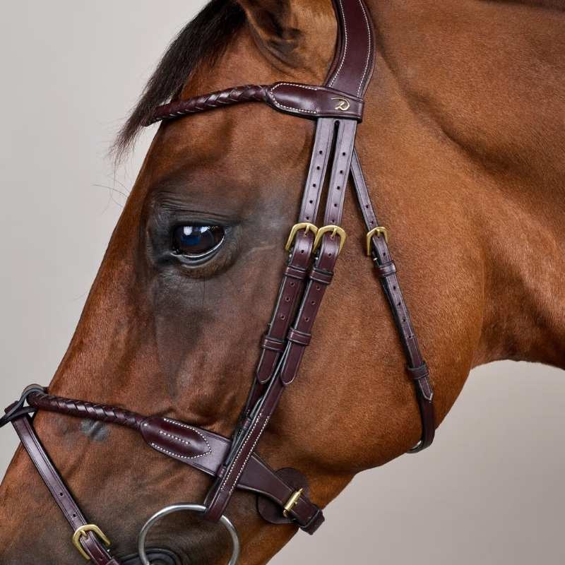 Bridon Combiné  Braided Dyon Collection Marron