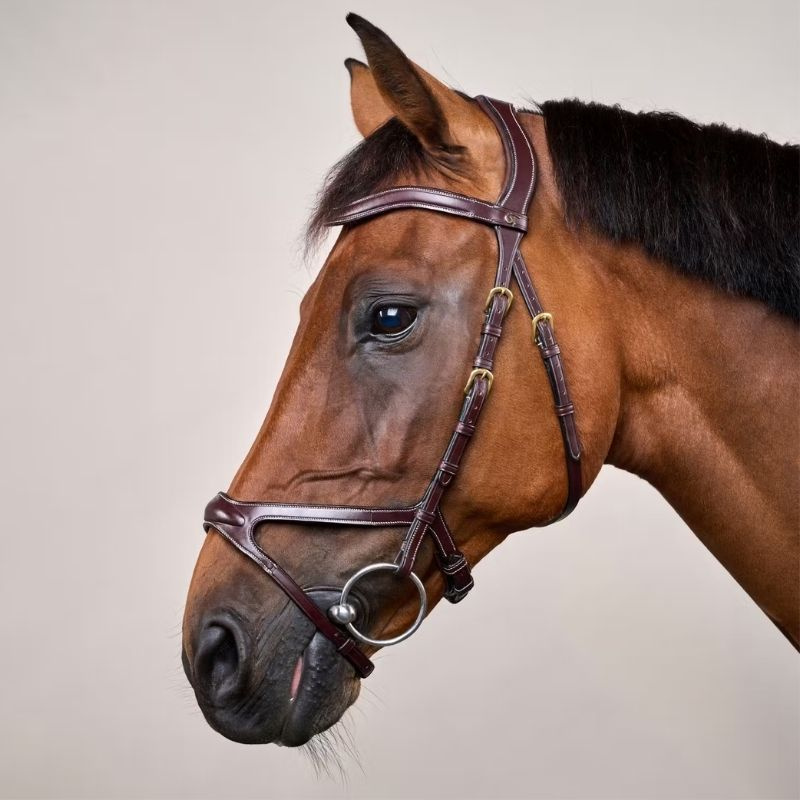 Bridon anatomique DC X-Fit marron