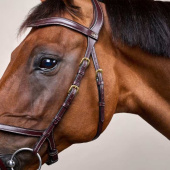 Bridon anatomique DC X-Fit marron Bridon anatomique DC X-Fit marron