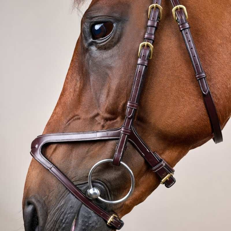Bridon anatomique DC X-Fit marron