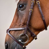 Bridon anatomique DC X-Fit marron Bridon anatomique DC X-Fit marron