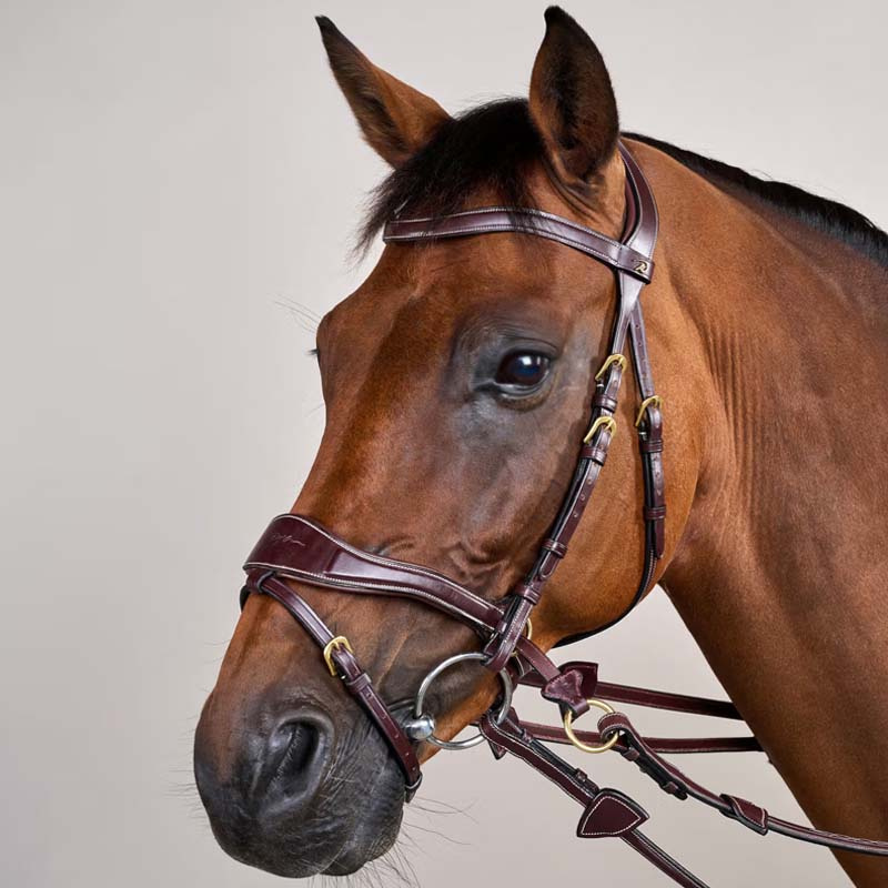 Bridon D Motion Dyon Collection Marron