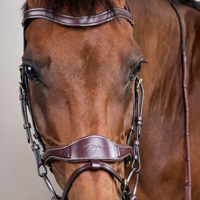 Bridon D Motion Dyon Collection Marron