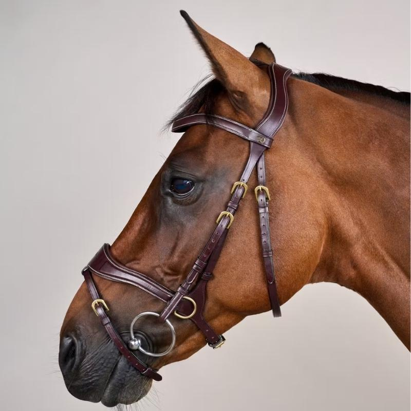 Bridon D Motion Dyon Collection Marron