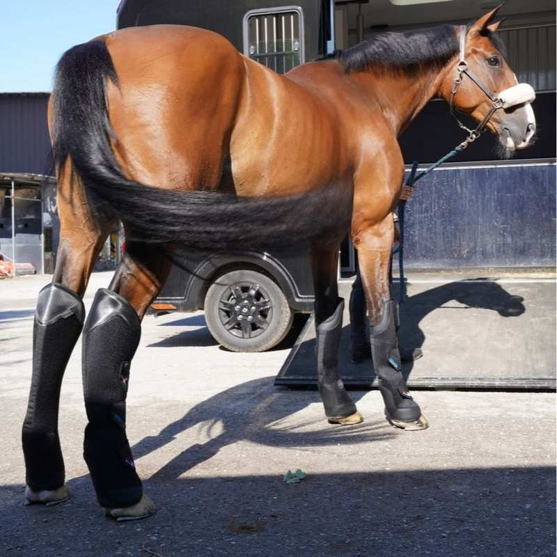 Guêtres de transport Pro-Safe Rear Noir