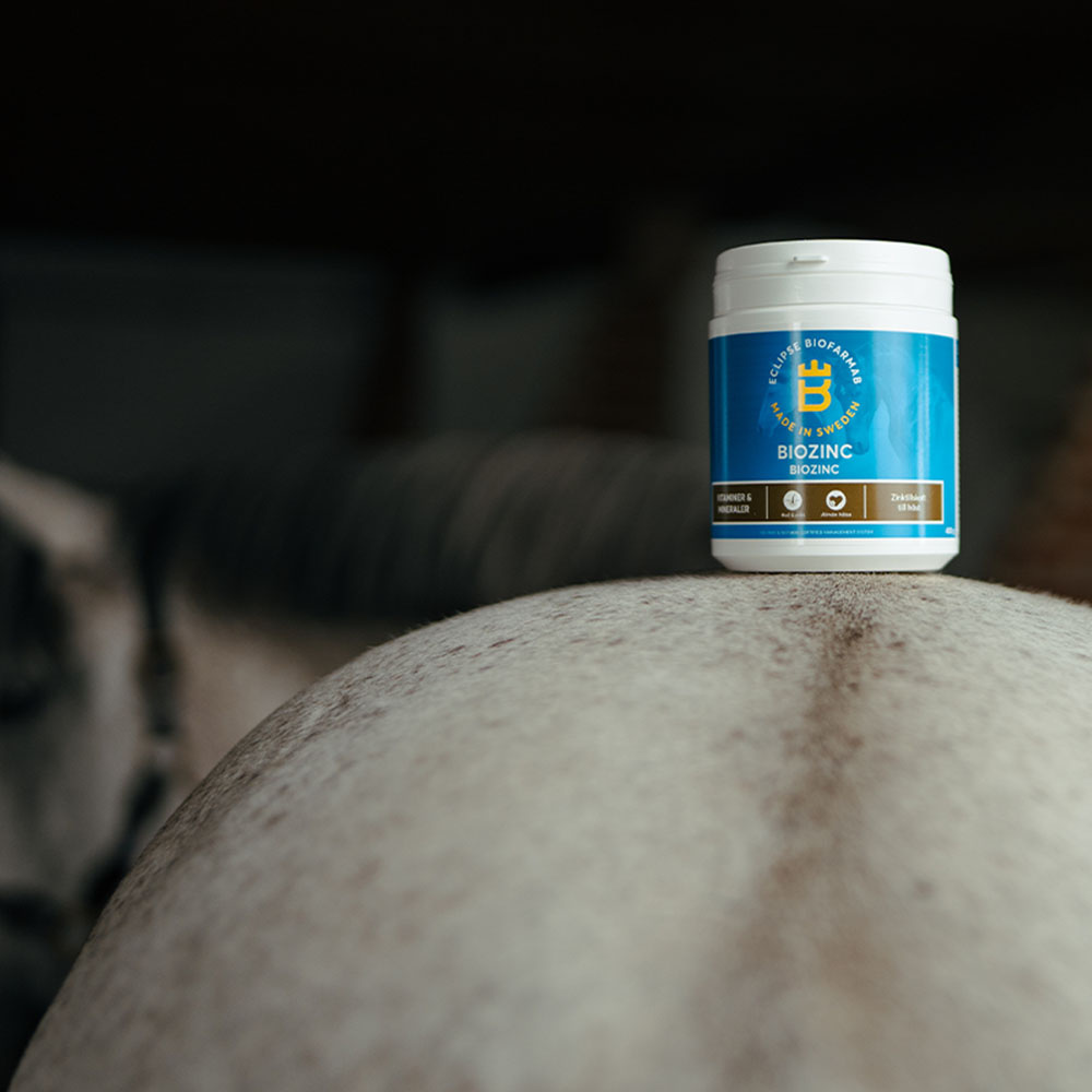 BioZinc 400 g