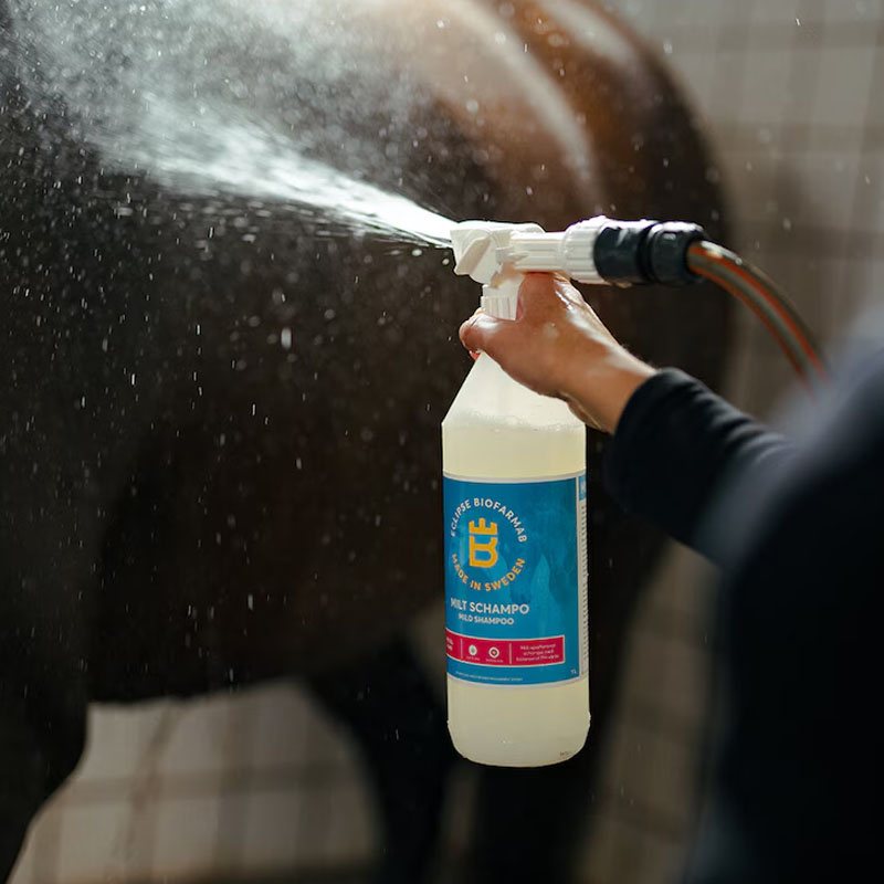 Shampoing Doux 1L avec Applicateur