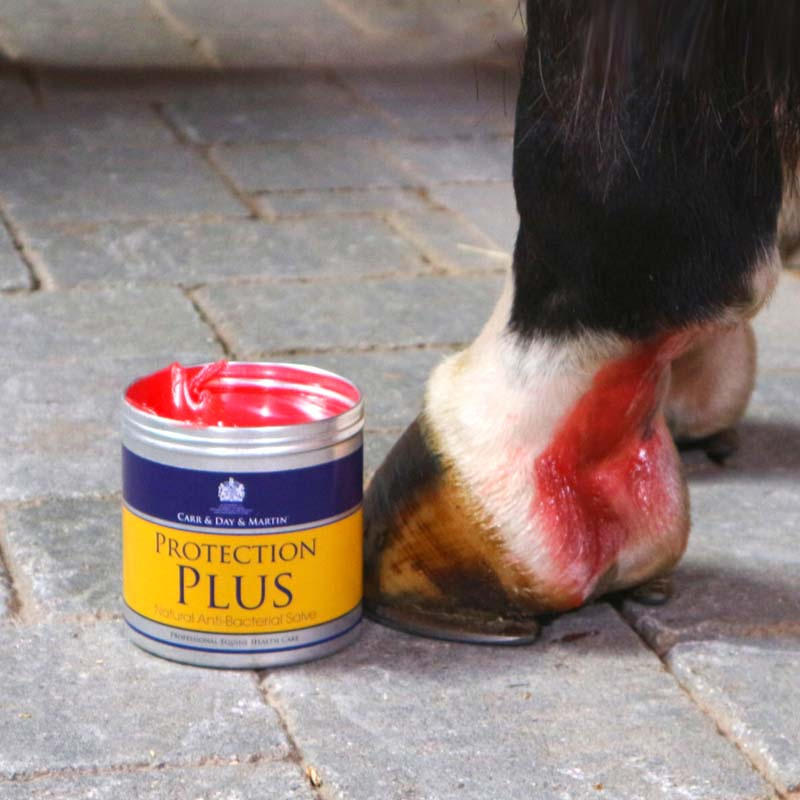 Pommade antibactérienne Protection Plus 500g