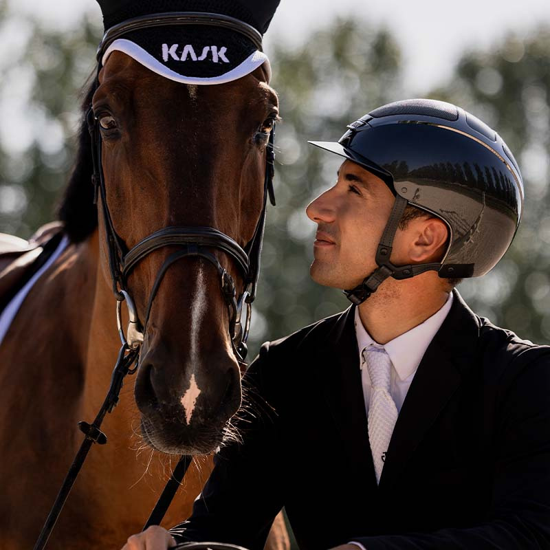 Casque d'équitation Dogma Pure Shine Gris