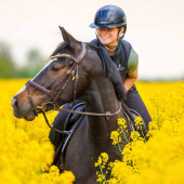 Casque d'équitation Kooki Lady Shine Bleu Marine Casque d'équitation Kooki Lady Shine Bleu Marine