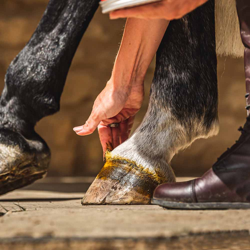 Pommade pour sabot Cornucrescine Original 500ml