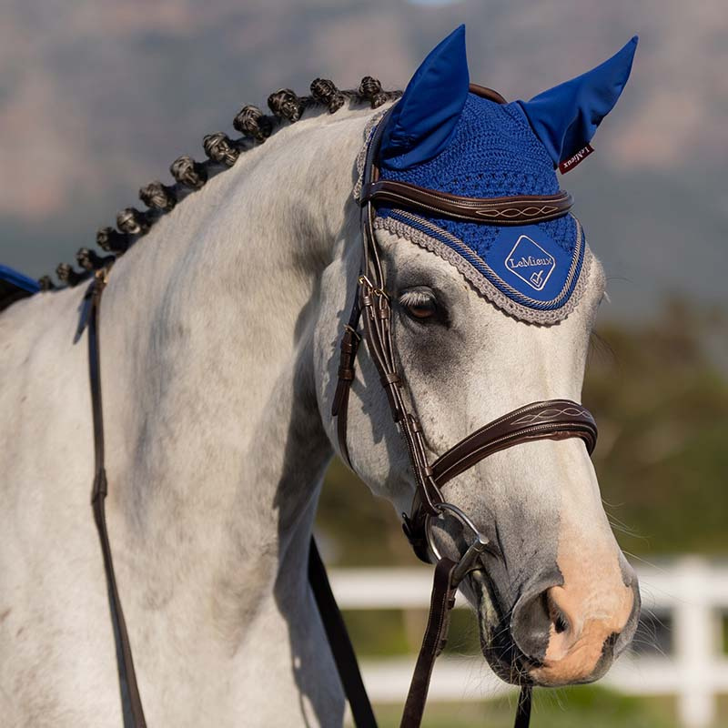 Bonnet Classic Bleu/Gris