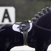 Selle Toy Pony Noir Selle Toy Pony Noir