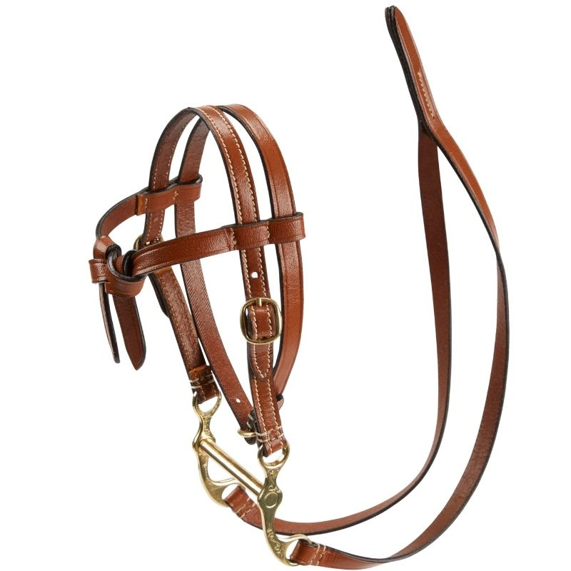 Bride western Toy Pony Marron