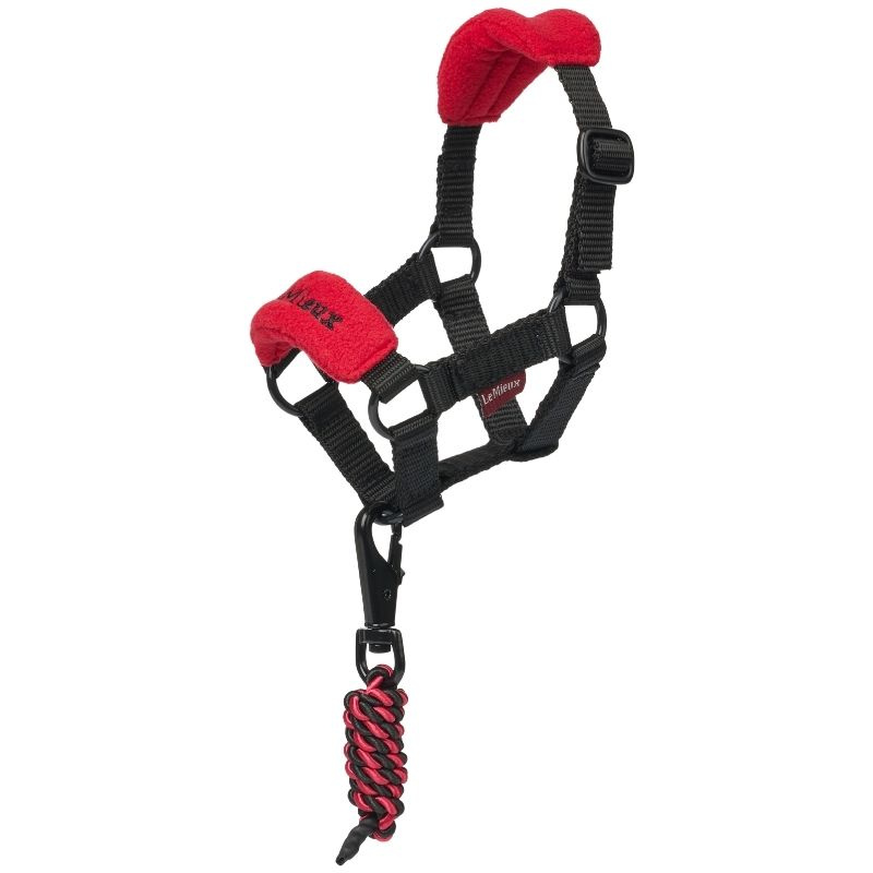 Licol Toy Pony Vogue Rouge