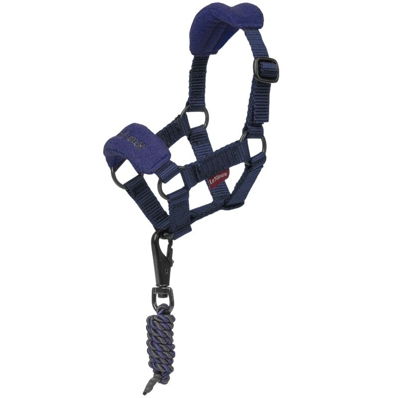 Licol Toy Pony Vogue Bleu Marine