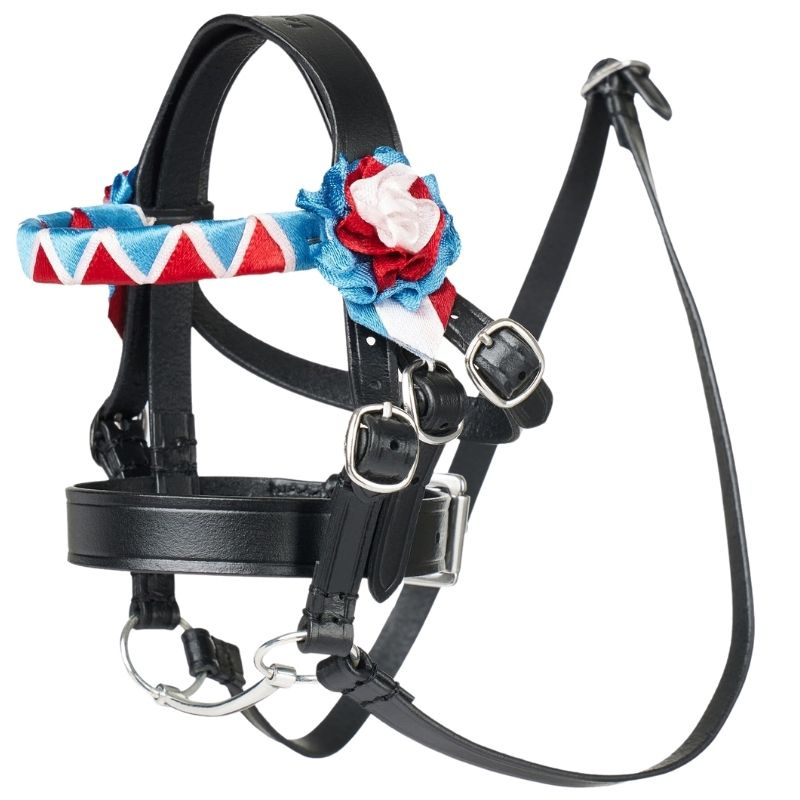 Bridon Toy Pony Showing Noir