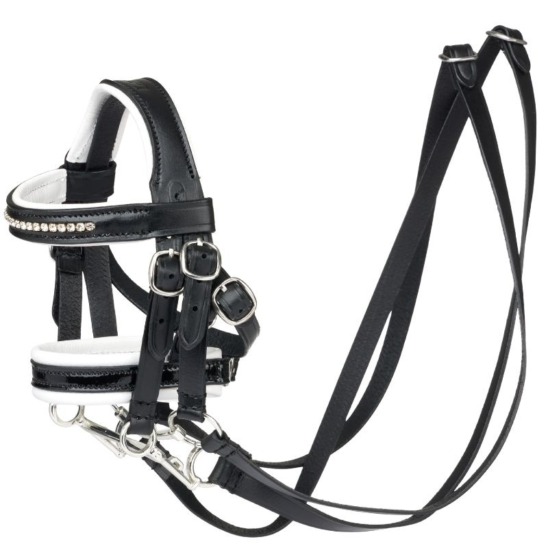 Bride de dressage Toy Pony Noir
