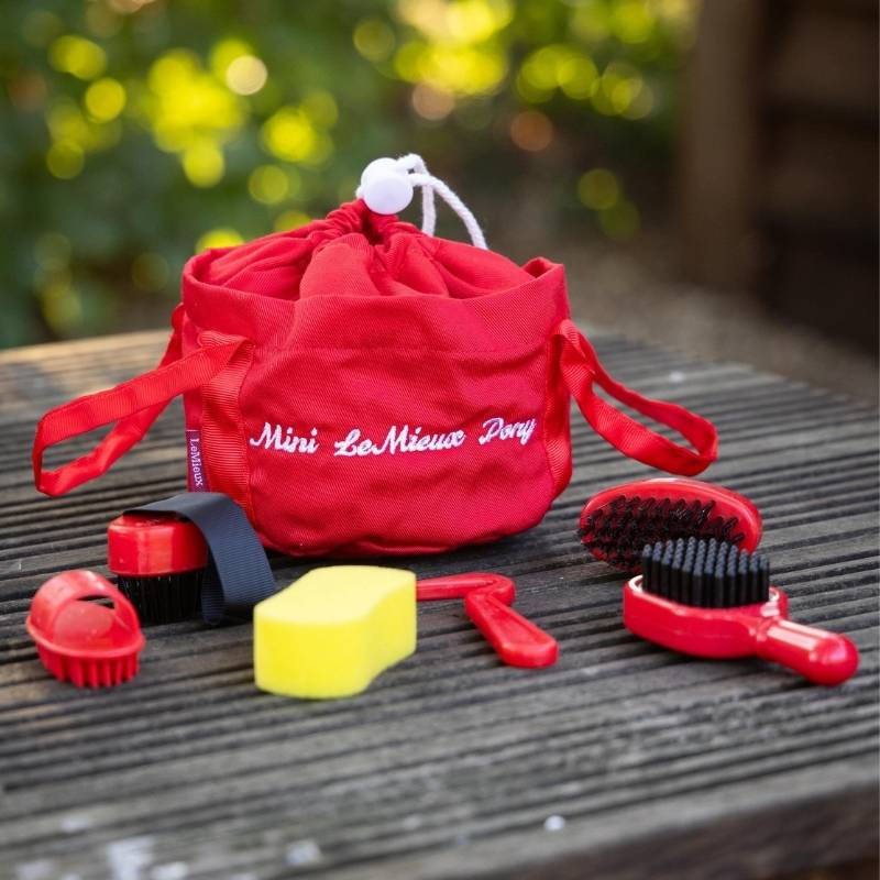 Kit de pansage Toy Pony Rouge