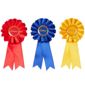 Rosettes Toy Pony 3-pack Rosettes Toy Pony 3-pack