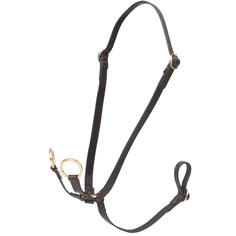 Martingale pour cheval-bâton Running Marron