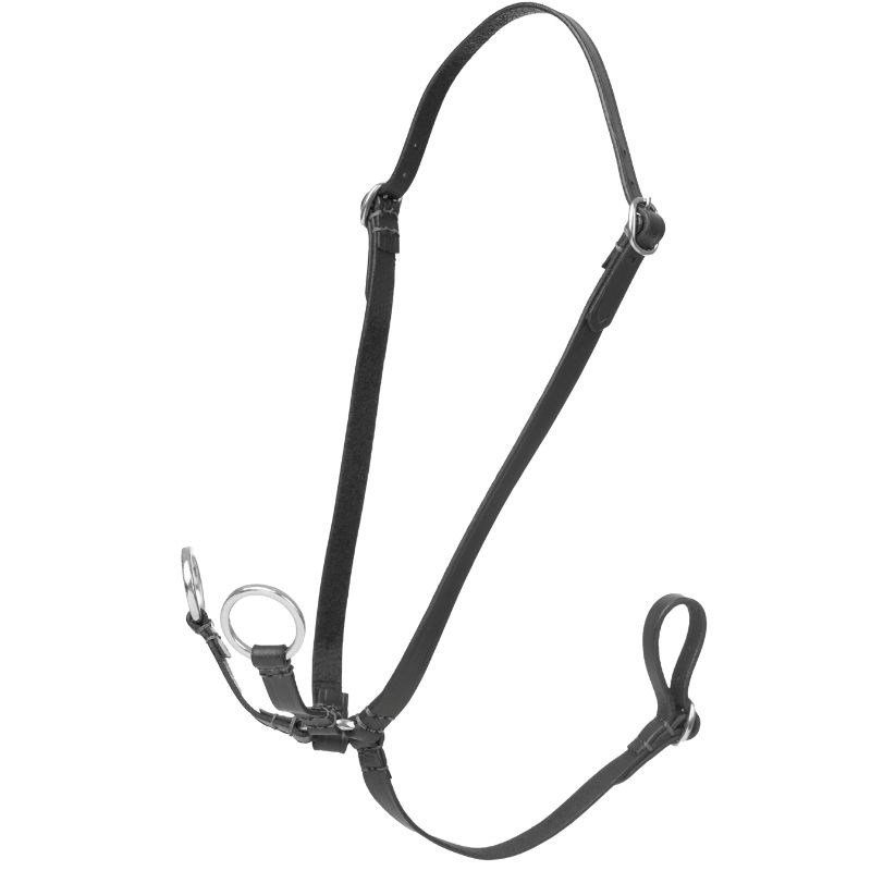 Martingale pour cheval-bâton Running Noir