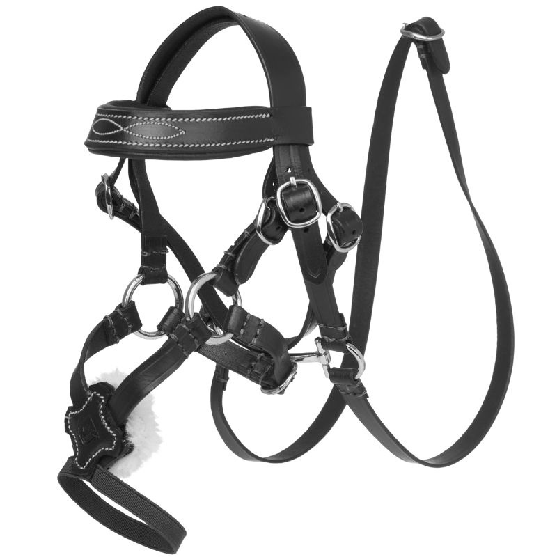Bridon Toy Pony Grackle Noir