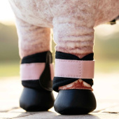 Guêtres fermées Toy Pony Grafter Noir/Rose clair Guêtres fermées Toy Pony Grafter Noir/Rose clair