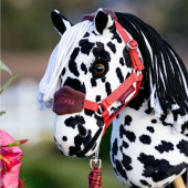 Cheval-bâton Dakota Cheval-bâton Dakota