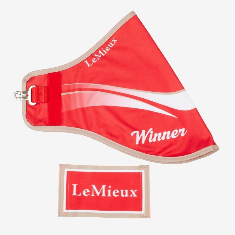 Couverture de compétition pour cheval-bâton Winners Rouge