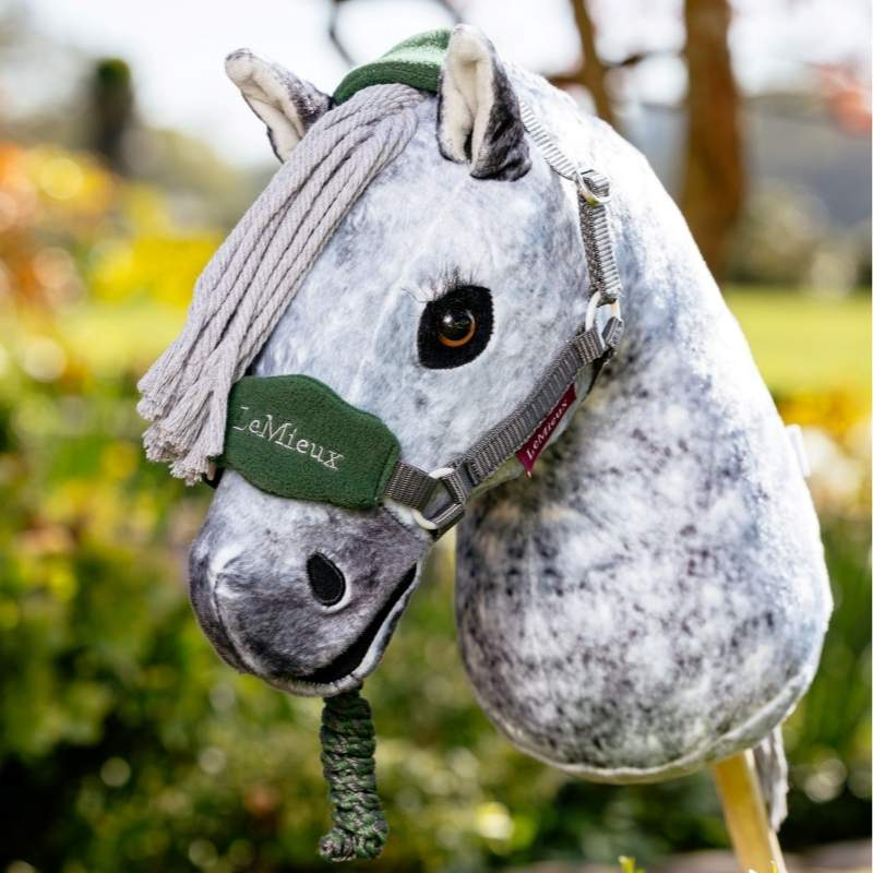 Licol & Longe pour Cheval-bâton Vogue Vert