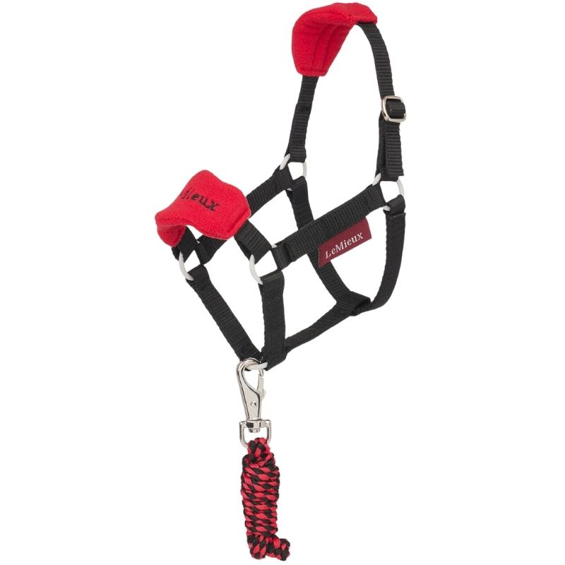 Licol & Longe pour Cheval-bâton Vogue Rouge