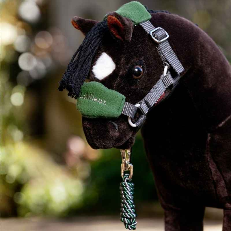 Licol & Longe d'attache Toy Pony Vogue Vert