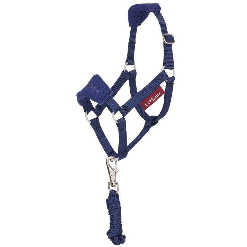 Licol & Longe pour Cheval-bâton Vogue Bleu Marine