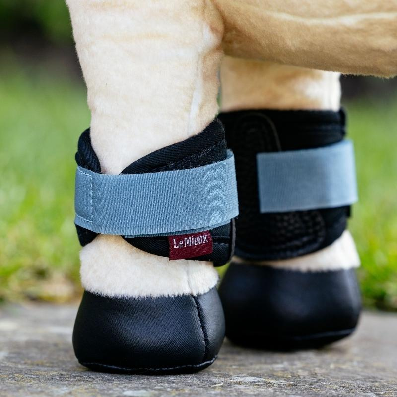 Guêtres fermées Toy Pony Grafter Noir/Bleu