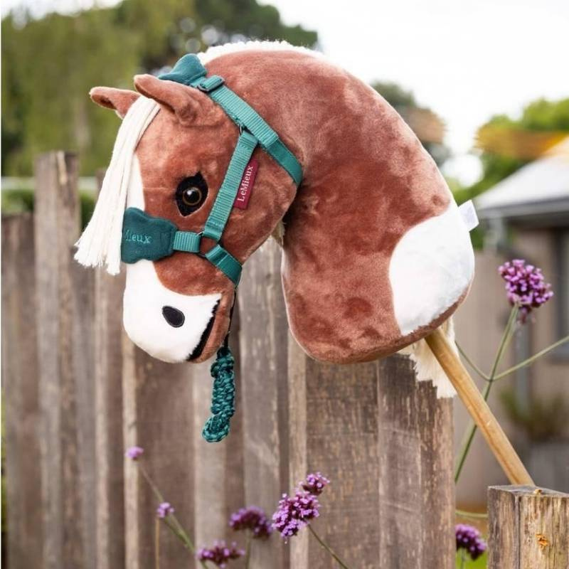 Cheval-bâton Flash