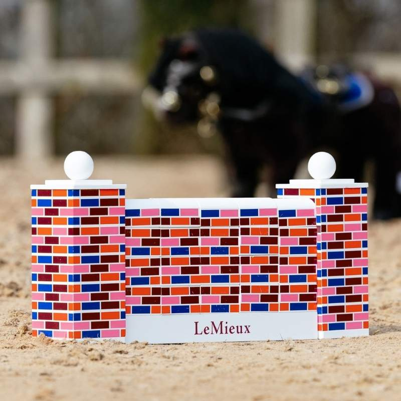 Puissance Wall Toy Pony Multicolore