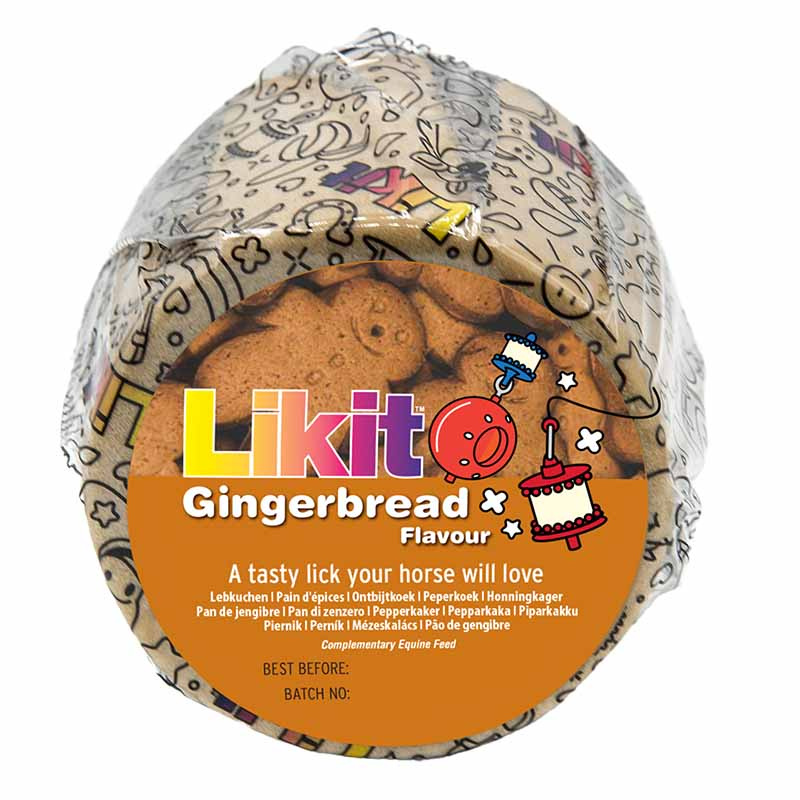 Pierre à sel Gingerbread Refill 650g