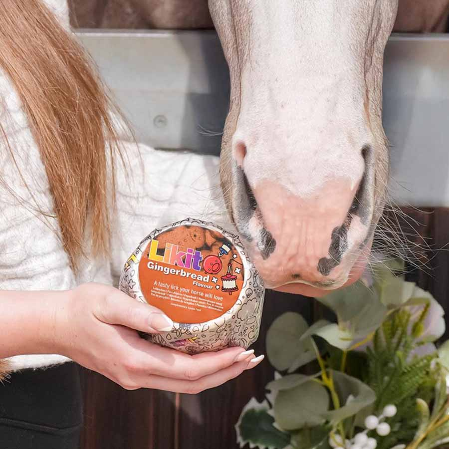 Pierre à sel Gingerbread Refill 650g