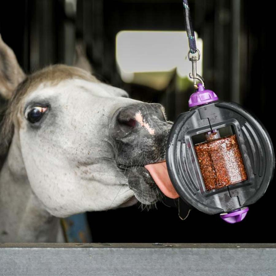 Recharge de Bloc Lécheur Menthe Bizzy Lick 1 kg