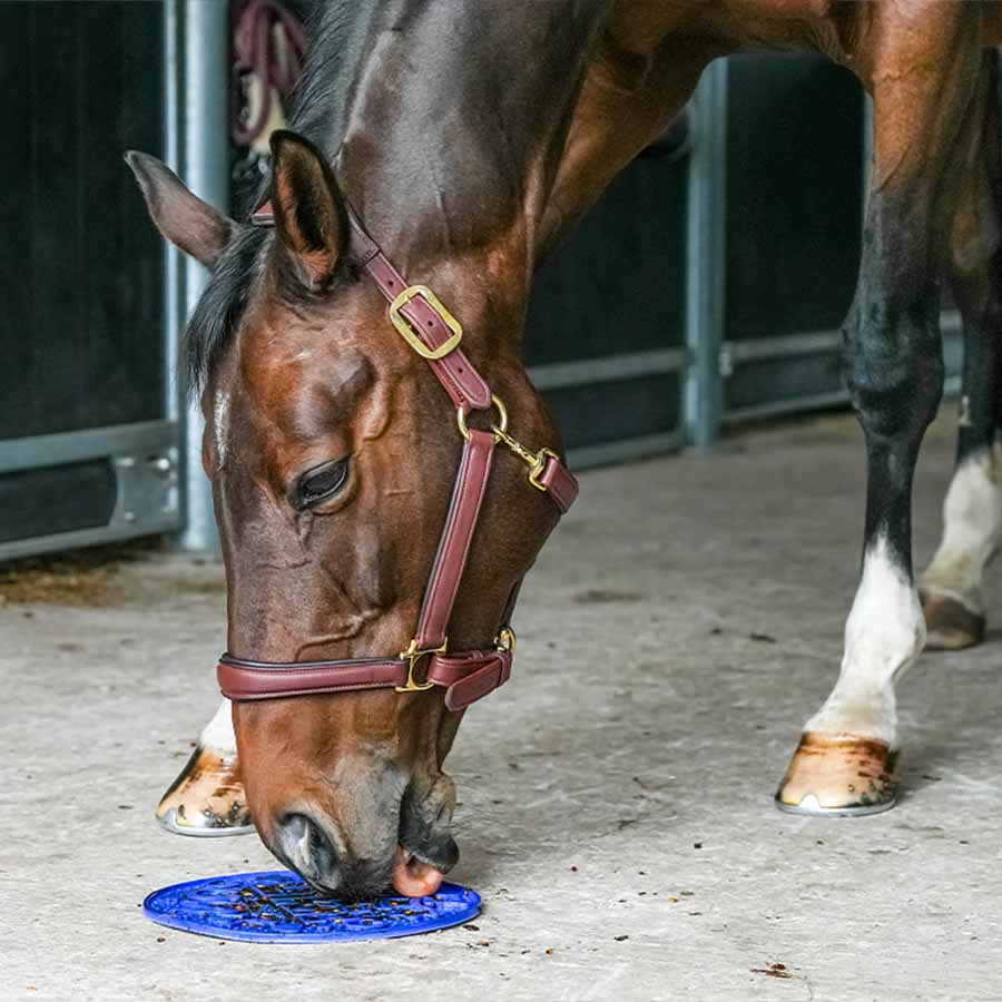 Tapis de léchage Graze Maze Lick Mat Niveau 1 Bleu