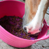 Tapis de léchage Graze Maze Lick Mat Niveau 1 Lavande Tapis de léchage Graze Maze Lick Mat Niveau 1 Lavande