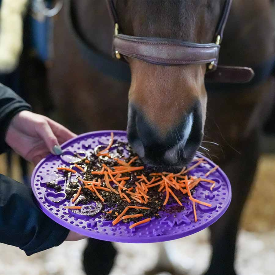 Tapis de léchage Graze Maze Lick Mat Niveau 1 Lavande