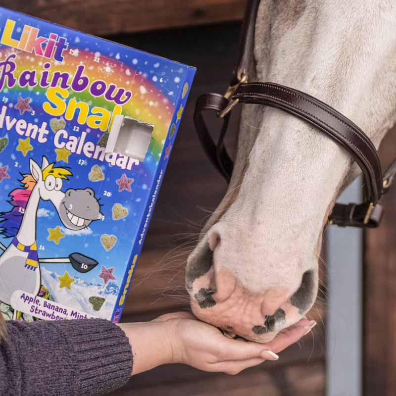 Calendrier de l'Avent Friandises pour chevaux Rainbow Snaks 200g