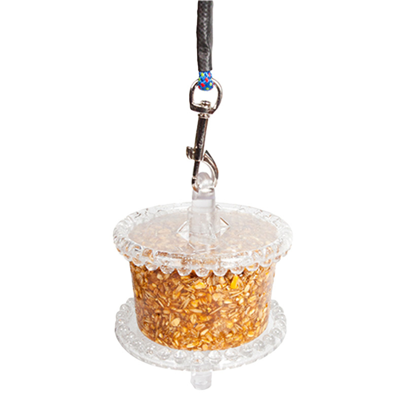 Titulaire Transparent/Paillettes