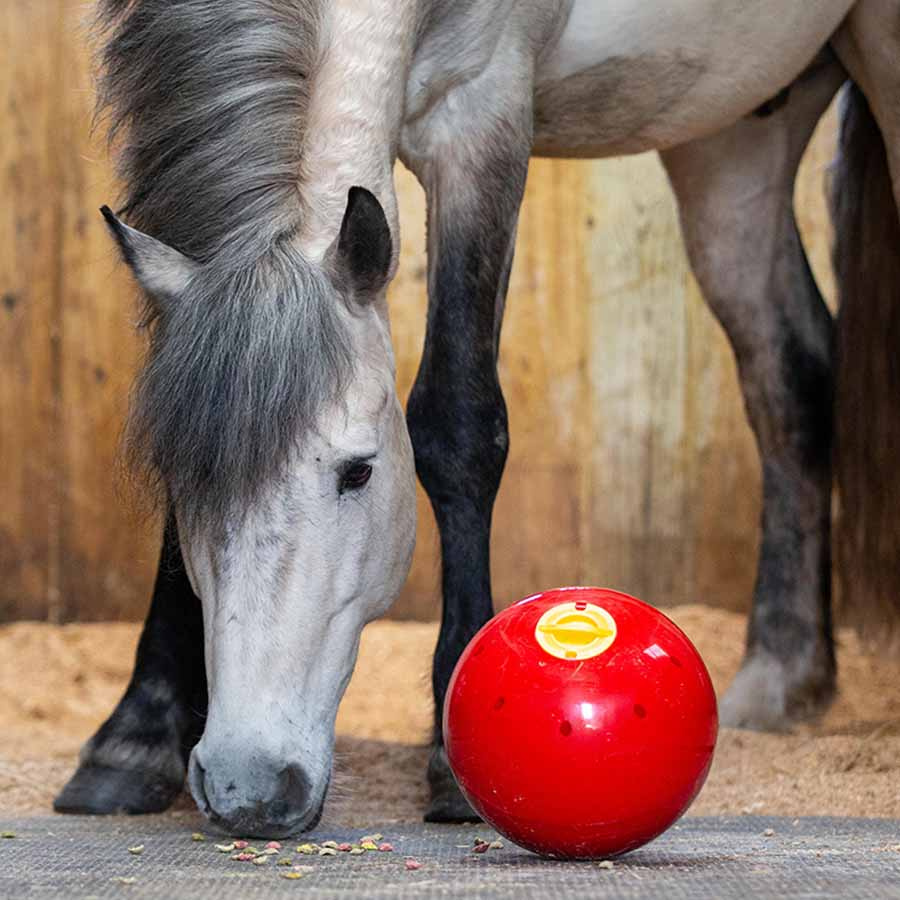 Balle de friandises Snak-a-Ball Rouge
