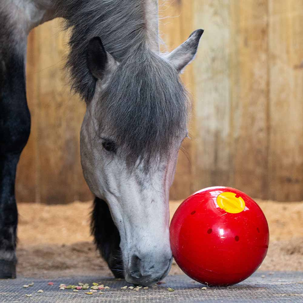 Balle de friandises Snak-a-Ball Rouge