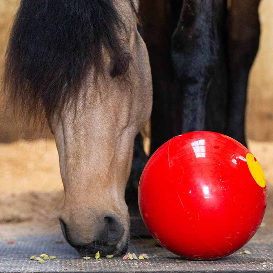 Balle de friandises Snak-a-Ball Rouge